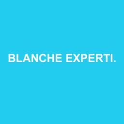 Logo de BLANCHE EXPERTISE
