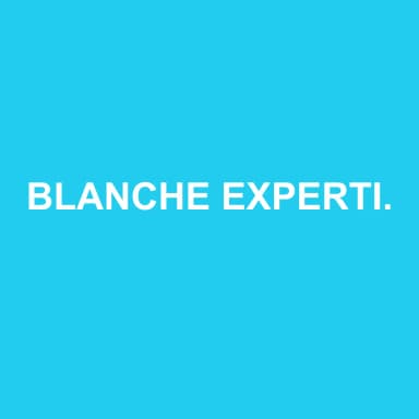 Logo de BLANCHE EXPERTISE