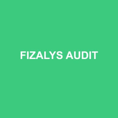 Logo de FIZALYS AUDIT