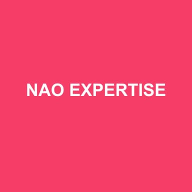 Logo de NAO EXPERTISE