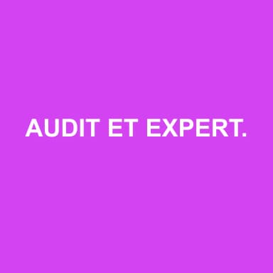 Logo de AUDIT ET EXPERTISE COMPTABLE VIRGINIE BIETTE