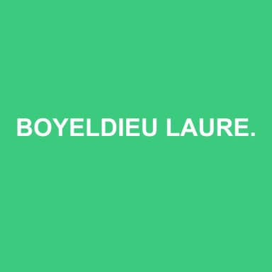 Logo de BOYELDIEU LAURENT