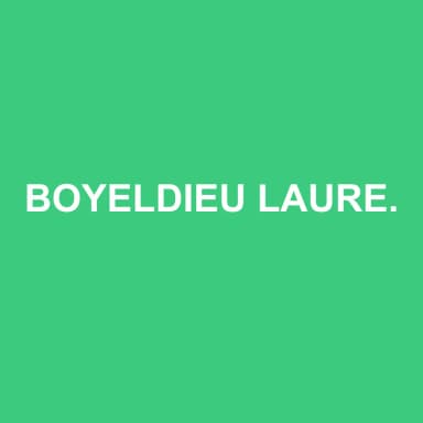 Logo de BOYELDIEU LAURENT