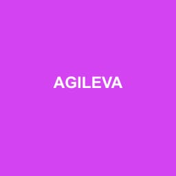 Logo Agileva - Expert-comptable à Vittel
