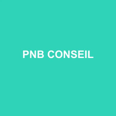 Logo de PNB CONSEIL