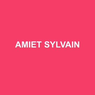 Logo de AMIET SYLVAIN