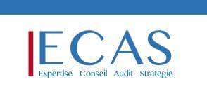 Expertise Conseil Audit Strategie - photo 1