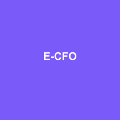 Logo de E-CFO