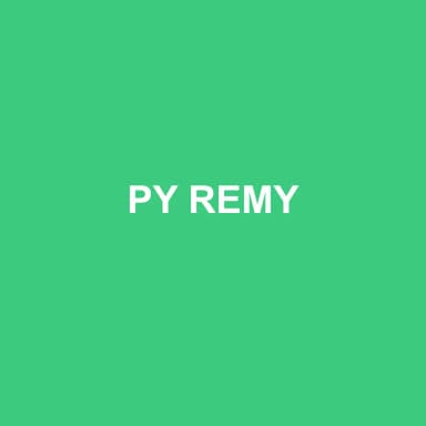 Logo de PY REMY