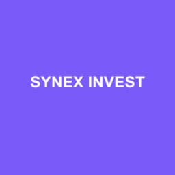 Logo Synex Invest - Expert-comptable à Lézignan-Corbières