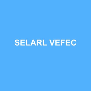 Logo de SELARL VEFEC