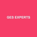 Logo de Ges Experts