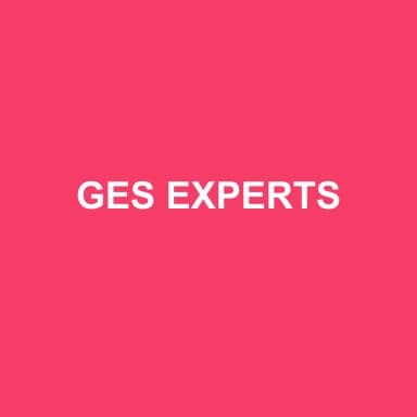 Logo de GES EXPERTS