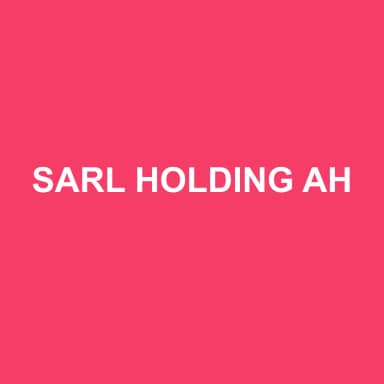 Logo de SARL HOLDING AH