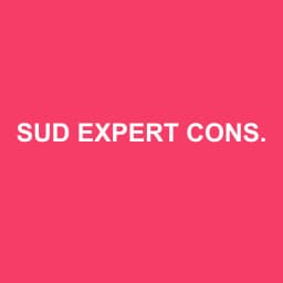 Logo Sud Expert Conseil 12 - Expert-comptable à Sévérac-le-Château