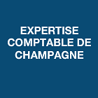 Logo de SOCIETE D'EXPERTISE COMPTABLE DE CHAMPAGNE