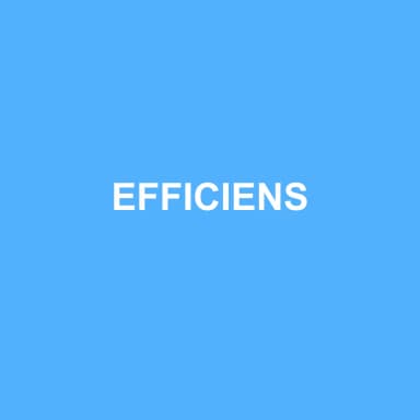 Logo de EFFICIENS