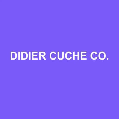 Logo de DIDIER CUCHE CONSEIL