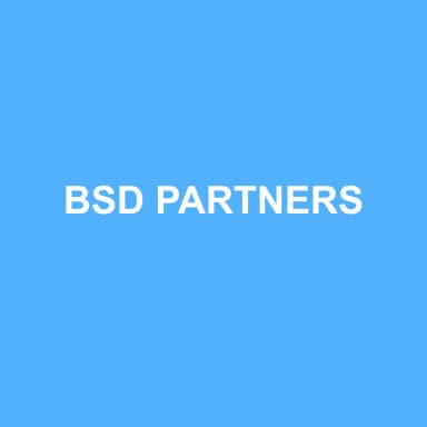 Logo de BSD PARTNERS