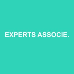 Logo de EXPERTS ASSOCIES FRANCILIENS