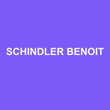 Logo de SCHINDLER BENOIT