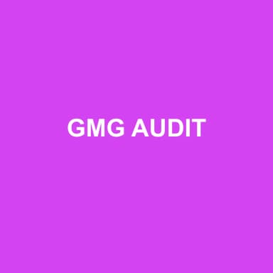 Logo de GMG AUDIT