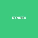 Logo de Syndex