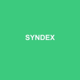 Logo de SYNDEX