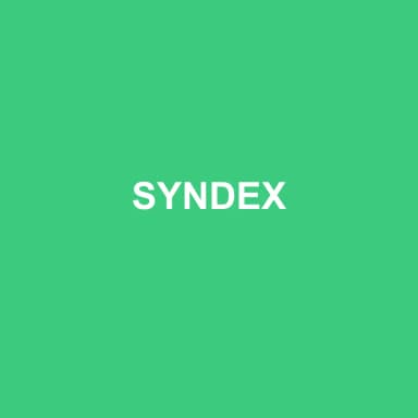 Logo de SYNDEX