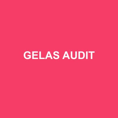 Logo de GELAS AUDIT