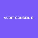 Logo de Audit Conseil Expertise Comptable et Organisation