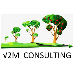 Logo de V2M CONSULTING