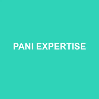 Logo de PANI EXPERTISE