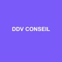 Logo DDV CONSEIL