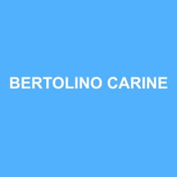 Logo Bertolino Carine - Expert-comptable à Vauréal