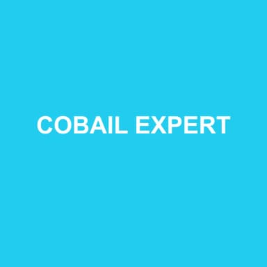 Logo de COBAIL EXPERT