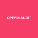 Logo de Opefin Audit