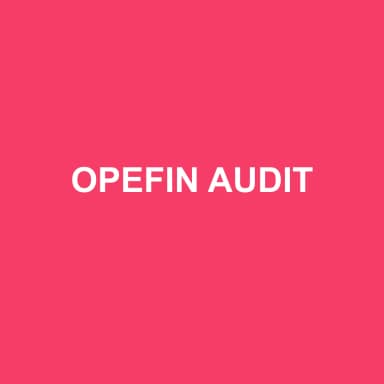 Logo de OPEFIN AUDIT