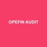 OPEFIN AUDIT