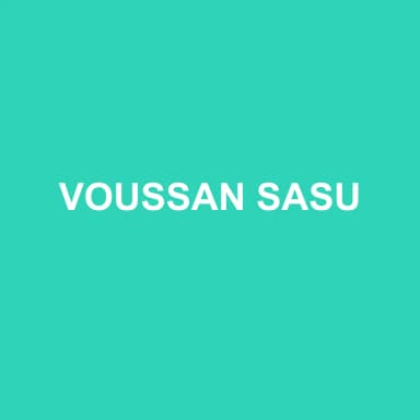 Logo de VOUSSAN SASU