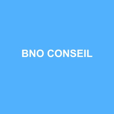 Logo de BNO CONSEIL