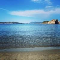 mr Consultis - photo 1