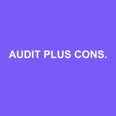 Logo de AUDIT PLUS CONSEIL