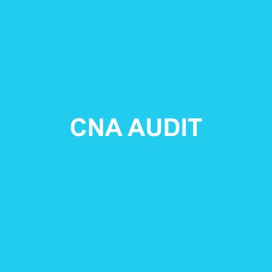 Logo de CNA AUDIT