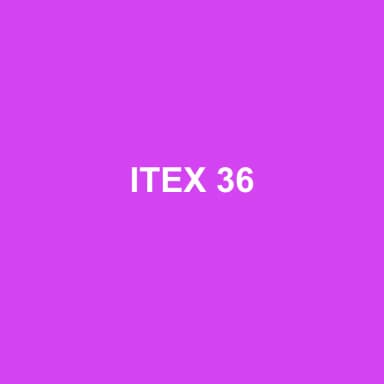 Logo de ITEX 36