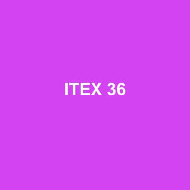 Logo de ITEX 36