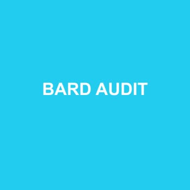 Logo de BARD AUDIT