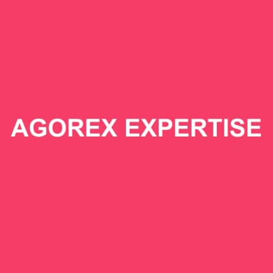 Logo de AGOREX EXPERTISE