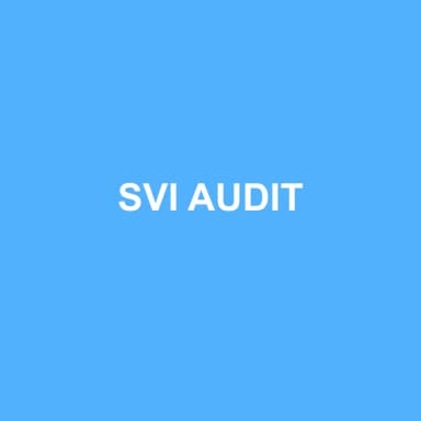 Logo de SVI AUDIT