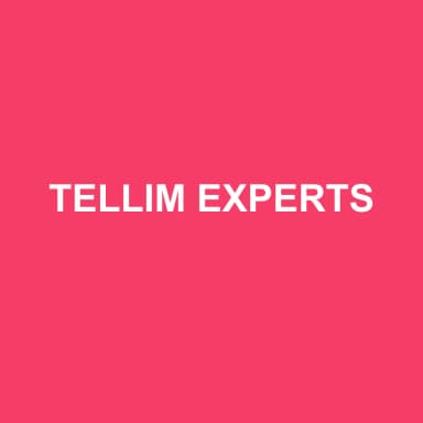 Logo de TELLIM EXPERTS